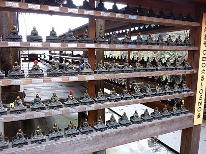 2017-01-21 16.43.02 P1010625 Simon - unique budda minatures.jpeg: 4608x3456, 6418k (2017 Jan 29 10:22)