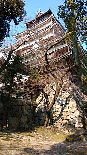 2017-01-22 12.20.46 IMG_20170122_122046988 Simon - Hiroshima Castle Tower.jpeg: 2340x4160, 3358k (2017 Jan 22 16:24)
