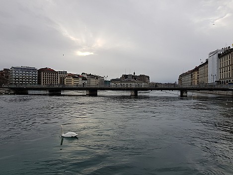 2018-01-19 16.04.24. Jim - Rhône from Quai des Bergues.jpeg: 4032x3024, 4103k (2018 Mar 10 17:11)