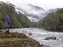 Paringa to Tunnel Creek Hut