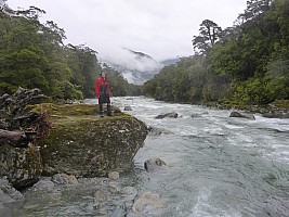 Paringa to Tunnel Creek Hut