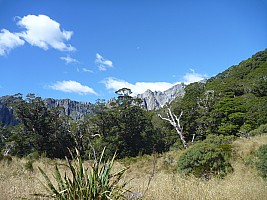 Tunnel Creek Hut to Paringa Rock Biv