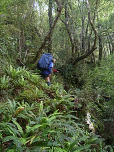 2019-01-14 09.41.33 P1050660 Philip - Jim on track.jpeg: 3240x4320, 4852k (2019 Jun 24 21:12)