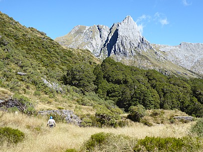 2019-01-14 16.32.39 P1010540 Brian - Douglas Spur across clearing.jpeg: 4000x3000, 4723k (2019 Jun 24 21:09)