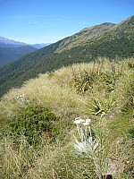 McCullaugh Creek to Murdock Creek
