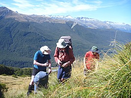 McCullaugh Creek to Murdock Creek