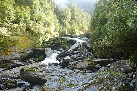 2019-01-20 08.55.01 P1050778 Philip - the side creek the next morning.jpeg: 4320x2880, 4869k (2019 Jun 24 21:12)