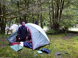 Stag Flat to Fox Glacier