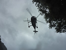 Stag Flat to Fox Glacier