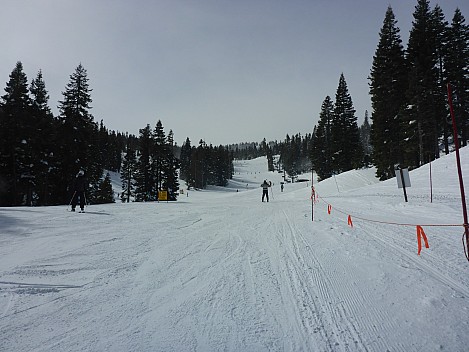 2019-02-25 10.36.22 P1020697 Simon - Looking up Upper Main Street, Jim just below top of Arrow Express.jpeg: 4608x3456, 6119k (2019 Feb 26 17:43)