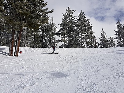 Simon at the top of Wiggle
Photographer;&nbsp;Jim
2019-02-28&nbsp;13.49.20;&nbsp;Metadata time: '2019 Feb 28 13:49'
Original size:&nbsp;4,032 x 3,024; 5,955 kB
Filename: 2019-02-28 13.49.20 Jim - Simon at the top of Wiggle.jpeg