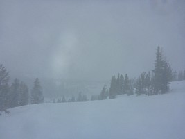 Mt Rose
