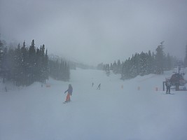 Mt Rose