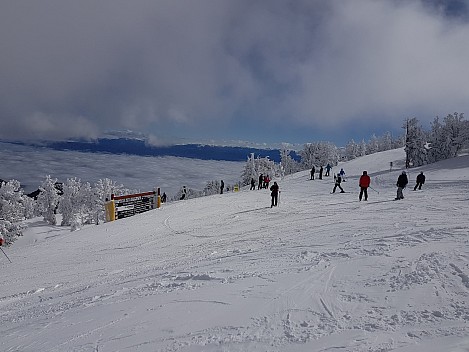 2019-03-04 09.49.56 Jim - view from top of Tamarack Express.jpeg: 4032x3024, 3888k (2019 Mar 06 04:19)