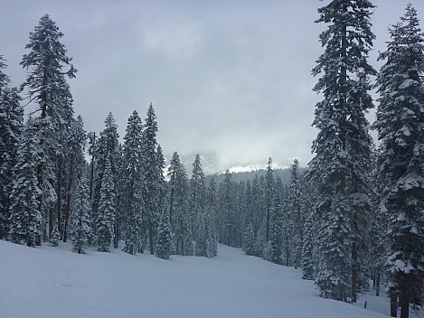 2019-03-07 10.05.50 P1020841 Simon - Marmot.jpeg: 4608x3456, 5836k (2019 Mar 07 10:05)