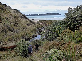 Mason Bay to Doughboy Bay