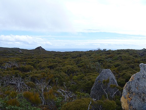 2019-11-10 15.48.28 P1000719 Jim - view from Adams hill.jpeg: 4320x3240, 4561k (2019 Nov 10 15:48)