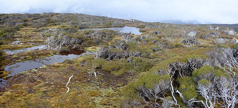 2019-11-10 15.59.05 Panorama Simon - Adams Hill track_stitch.jpg: 7166x3261, 28975k (2019 Nov 17 11:23)