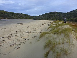 Doughboy Bay to Rakeahua Hut