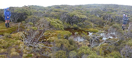 Doughboy Bay to Rakeahua Hut