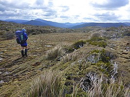 Doughboy Bay to Rakeahua Hut