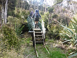 Doughboy Bay to Rakeahua Hut