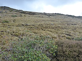 Mt Rakeahua