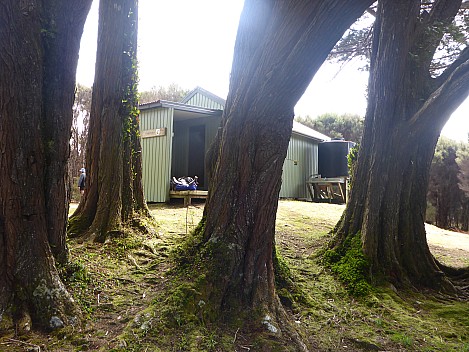 2019-11-12 15.00.25 P1030004 Simon - Rakeahua Hut through Macrocarpas.jpeg: 4608x3456, 6517k (2019 Nov 12 15:00)