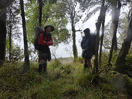 Rakeahua Hut to Freds Camp Hut