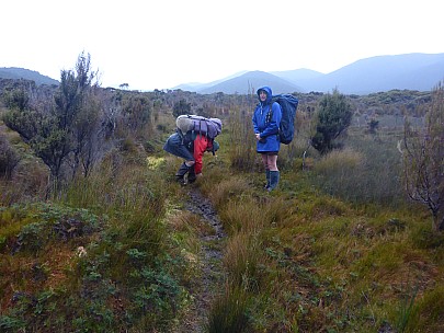 Brian and Jim leaving Rakeahu Hut
Photo: Simon
2019-11-13 07.54.54; '2019 Nov 13 07:54'
Original size: 4,608 x 3,456; 6,359 kB
2019-11-13 07.54.54 P1030008 Simon - Brian and Jim leaving Rakeahu Hut.jpeg