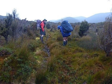 2019-11-13 07.55.06 P1030009 Simon - Brian and Jim leaving Rakeahu Hut.jpeg: 4608x3456, 6164k (2019 Nov 13 07:55)