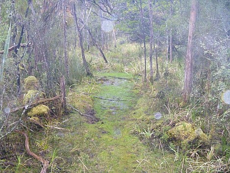 2019-11-13 08.51.53 P1000753 Jim - a boggy start to the track.jpeg: 4320x3240, 5321k (2019 Nov 13 08:51)