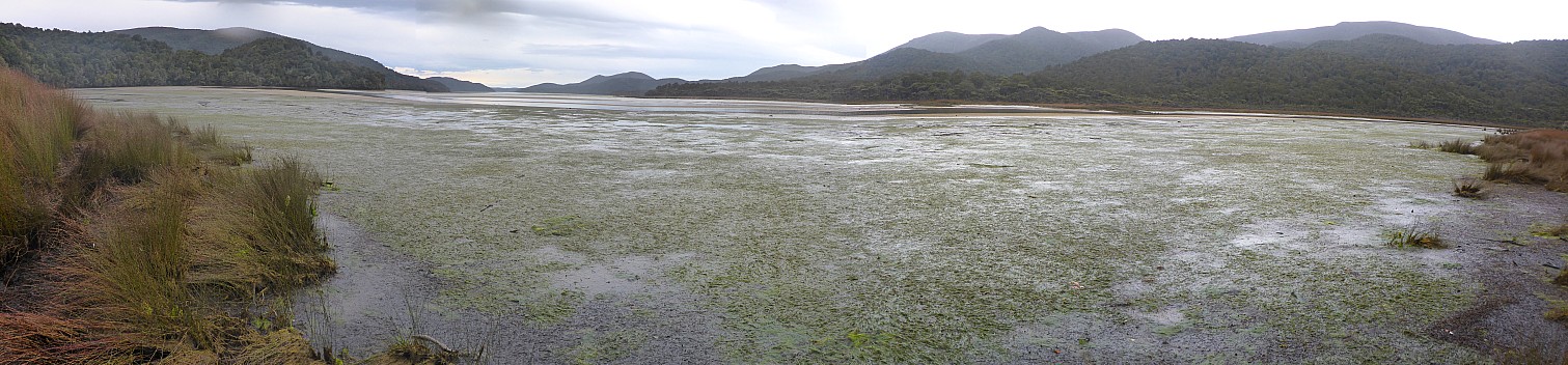 2019-11-13 09.37.40 Panorama Simon - Rakeahua estuary_stitch.jpg: 12695x2957, 36745k (2019 Dec 05 21:05)