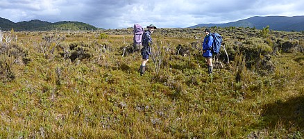 Freds Camp Hut to Freshwater Hut
