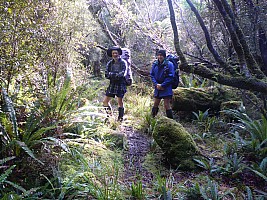 Freds Camp Hut to Freshwater Hut