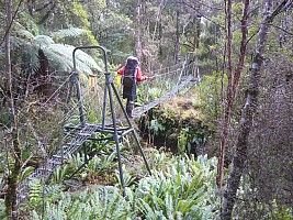 Freds Camp Hut to Freshwater Hut