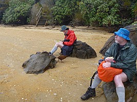 Ulva Island