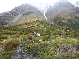 Erics Biv to Havelock River head and back to Mistake Flat