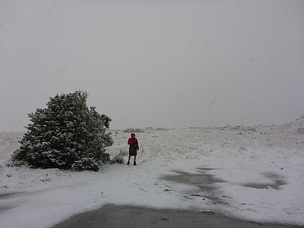 2020-09-01 08.13.46 P1030436 Simon - Brian on the snow at Mistake Flats.jpeg: 4608x3456, 6026k (2020 Oct 31 18:41)