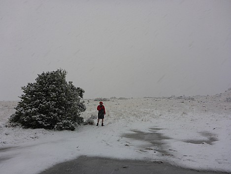 Brian on the snow at Mistake Flats
Photo: Simon
2020-09-01 08.13.46; '2020 Sept 01 08:13'
Original size: 4,608 x 3,456; 6,026 kB
2020-09-01 08.13.46 P1030436 Simon - Brian on the snow at Mistake Flats.jpeg