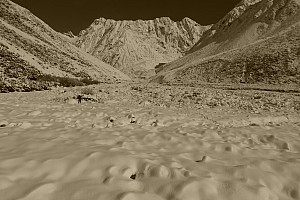 Mistake Flats Forbes River and Murphys Stream