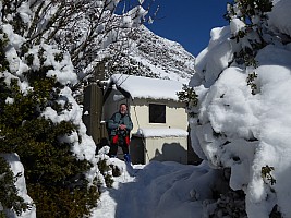 Mistake Flats Forbes River and Murphys Stream