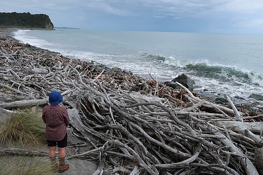 2022-03-06 13.43.57 IMG_0293 Brian - Te Oneone Beach.jpeg: 5472x3648, 9764k (2022 Oct 22 08:30)