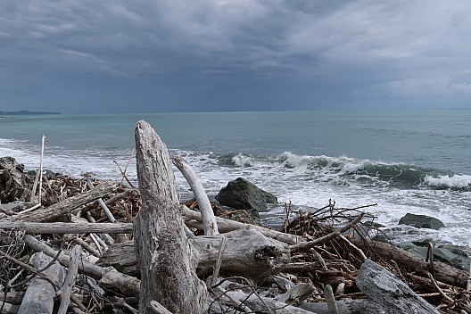 2022-03-06 13.49.09 IMG_0296 Brian - Te Oneone Beach.jpeg: 5472x3648, 8144k (2022 Oct 22 08:30)