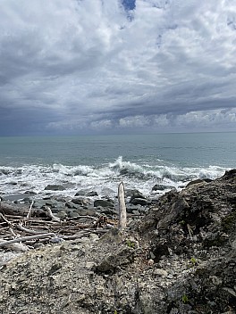 2022-03-06 13.53.01 IMG_2737 Susie - Oneone beach waves.jpeg: 3024x4032, 4484k (2022 Oct 22 08:30)