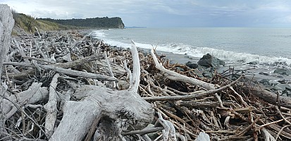 Mananui Bush, Mahinapua, Wanganui River, Oneone