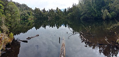 Mananui Bush, Mahinapua, Wanganui River, Oneone