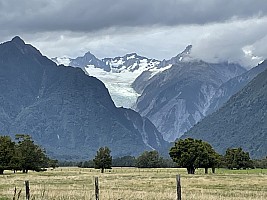 Mananui Bush, Mahinapua, Wanganui River, Oneone