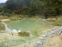 Copland River Welcome Flat Hut