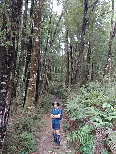 Brian on benched track to Hamers Flat
Photographer;&nbsp;Simon
2022-03-11&nbsp;09.26.18;&nbsp;Metadata time: '2022 Mar 11 09:26'
Original size:&nbsp;3,120 x 4,160; 7,224 kB
Filename: 2022-03-11 09.26.18 LG6 Simon - Brian on benched track to Hamers Flat.jpeg